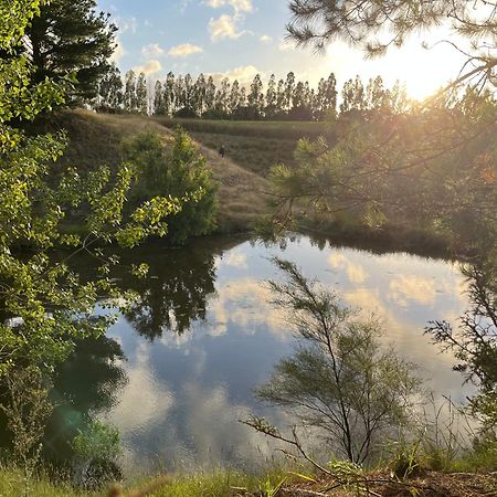 A Cabin With A Big View, Comfort And Tranquility, Close To Vines Martinborough Exterior foto