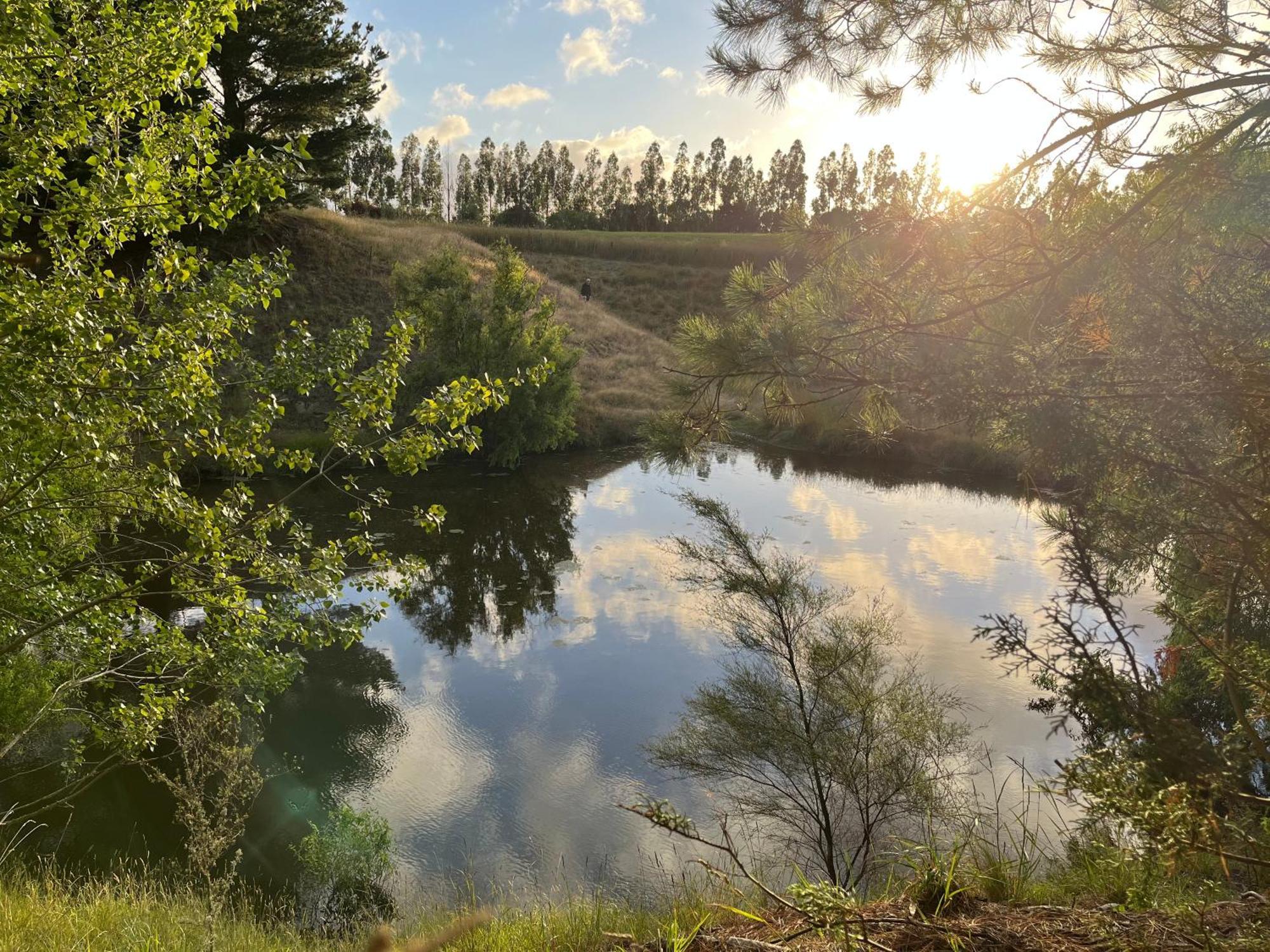 A Cabin With A Big View, Comfort And Tranquility, Close To Vines Martinborough Exterior foto
