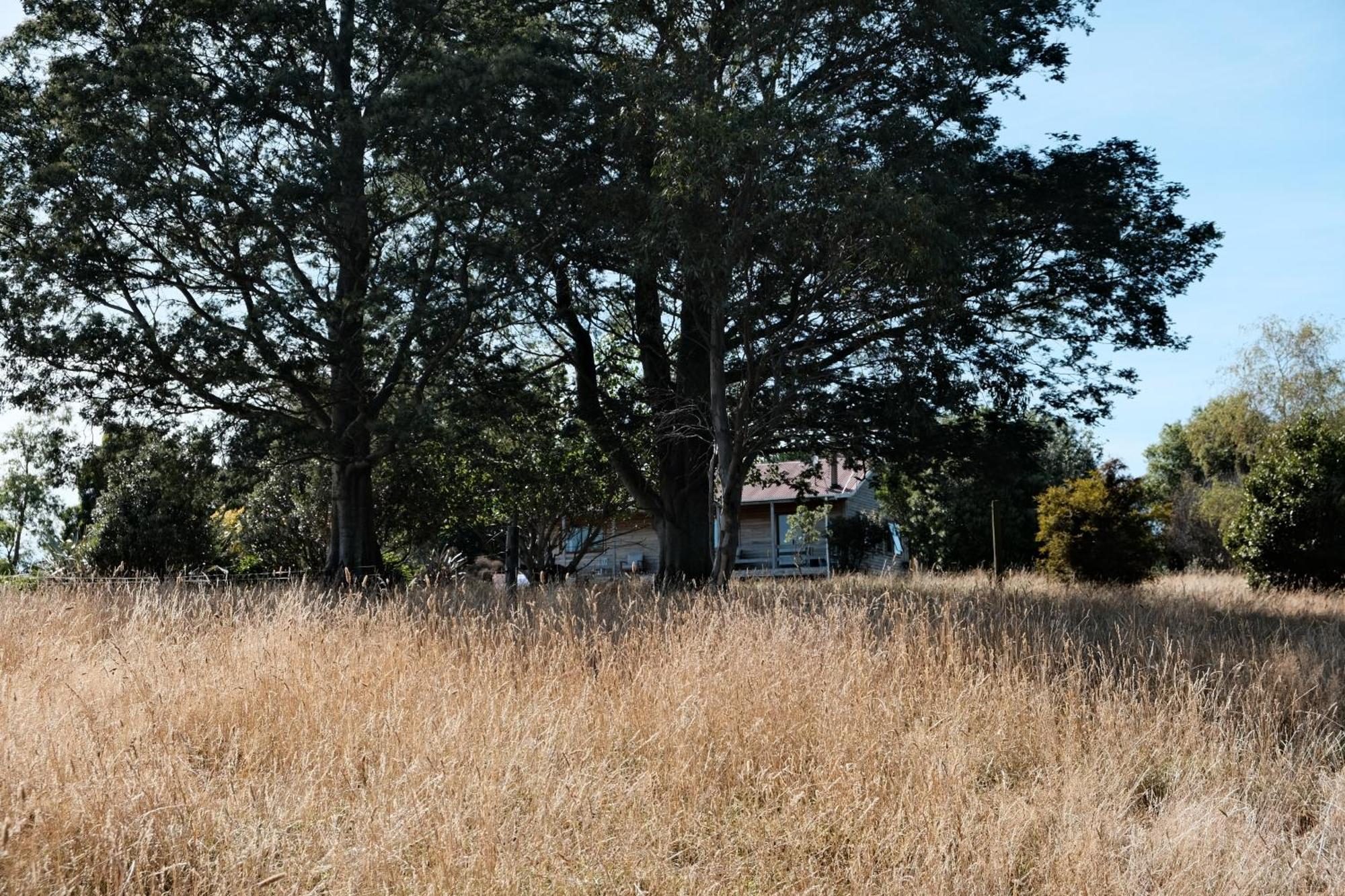 A Cabin With A Big View, Comfort And Tranquility, Close To Vines Martinborough Exterior foto