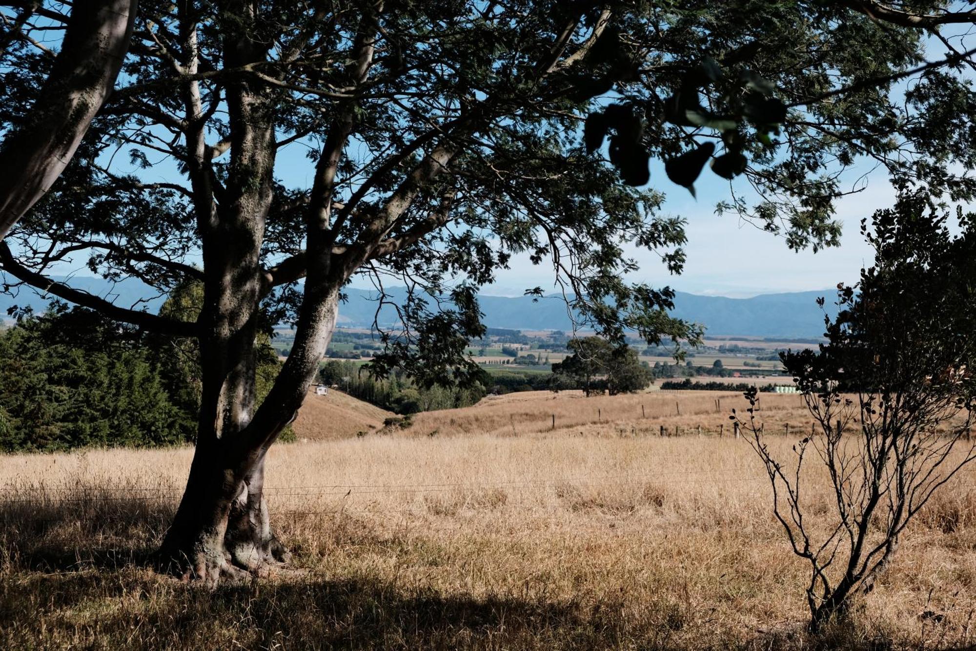 A Cabin With A Big View, Comfort And Tranquility, Close To Vines Martinborough Exterior foto