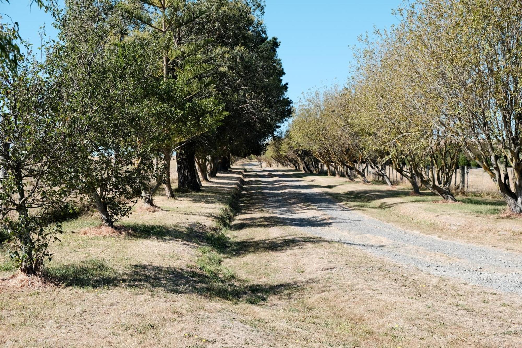 A Cabin With A Big View, Comfort And Tranquility, Close To Vines Martinborough Exterior foto